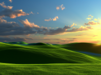 커피가 나를 향해 웃어줬다